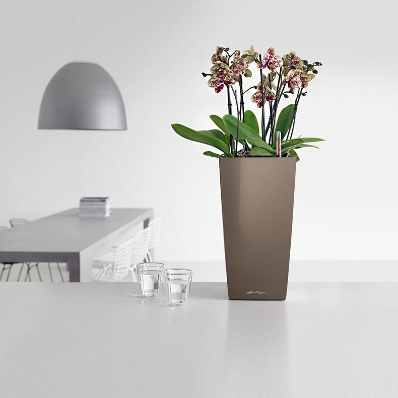 le_cubico22_product_addi_05